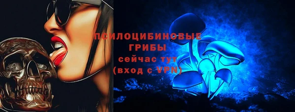 прущая мука Медвежьегорск