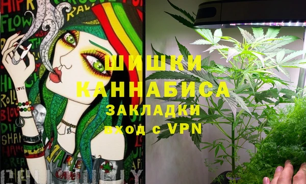 молекула духа Михайловск