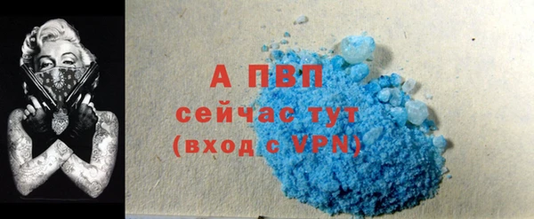 молекула духа Михайлов